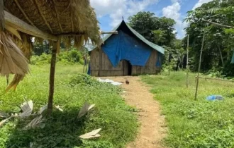 Menina ianomâmi morre após ser estuprada por garimpeiros