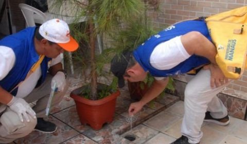 Prefeitura dá início ao primeiro diagnóstico anual de infestação por Aedes em Manaus