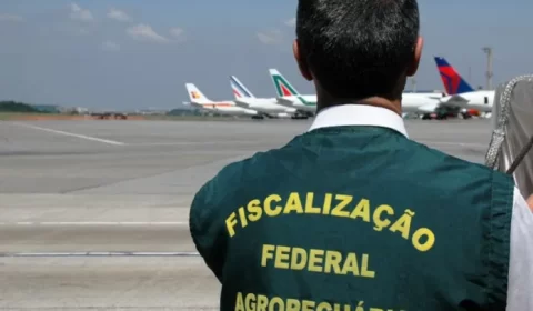 Sem avanço na negociação com governo federal, auditores agropecuários reavaliam mobilização