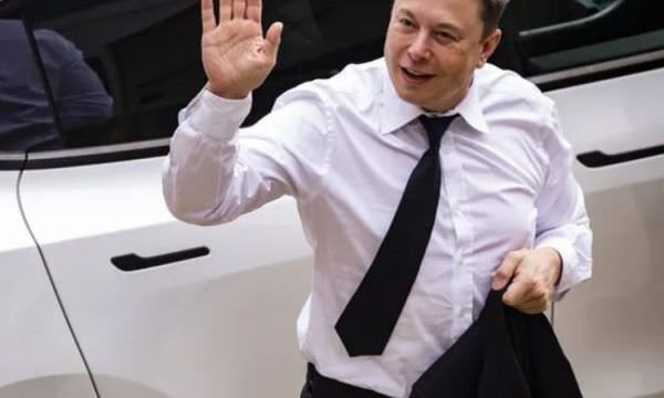 Elon Musk chega ao Brasil para tratar da Amazônia com Bolsonaro