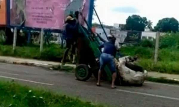 Cavalo fica pendurado em carroça por excesso de carga