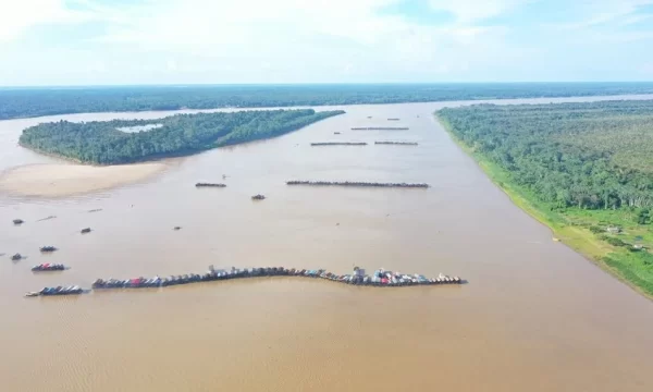 Helicóptero da Funai com 7 pessoas sofre queda na Floresta Amazônica