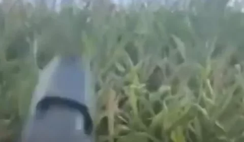 Homem armado ameaça gerente que humilhou caminhoneiro por milho; vídeo