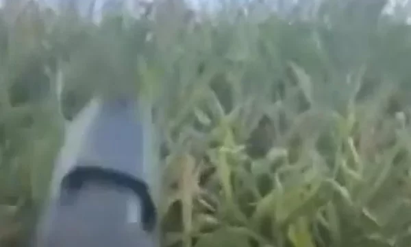 Homem armado ameaça gerente que humilhou caminhoneiro por milho; vídeo