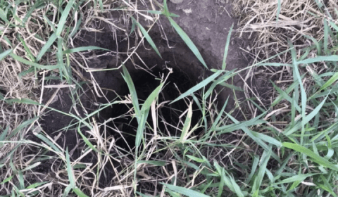 Milagre: bebê é encontrado vivo após passar dois dias dentro de buraco