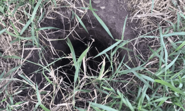 Milagre: bebê é encontrado vivo após passar dois dias dentro de buraco