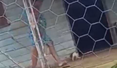 Mulher é flagrada chutando cachorro e caso vai parar na delegacia de Presidente Figueiredo