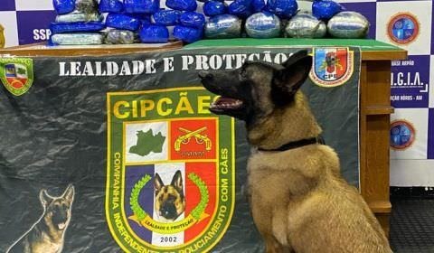 Operação encontra 30 Kg drogas escondidas em extintores e motor de barcos no Amazonas