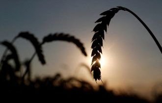 Ucrânia pede medidas para desbloquear portos e evitar crise alimentar global