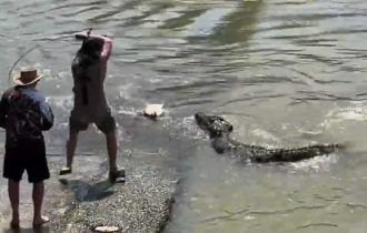 Vídeo: Pescador disputa peixe com crocodilo