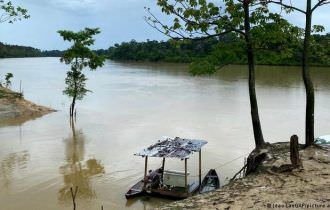 Amazônia se tornou uma terra sem lei, apontam especialistas