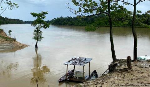 Amazônia se tornou uma terra sem lei, apontam especialistas