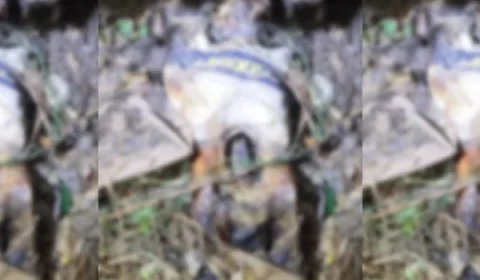 Cadáver é encontrado sem pés e mãos em comunidade rural