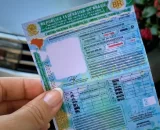 Mais de 3,7 mil motoristas do AM têm CNH renovada automaticamente