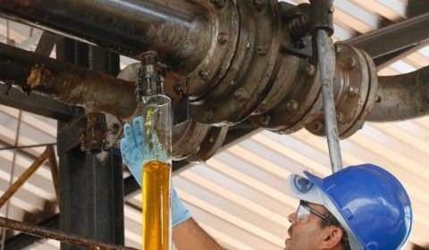 Produção de biodiesel no Brasil bate recorde em 2025 e setor deve crescer em 2026