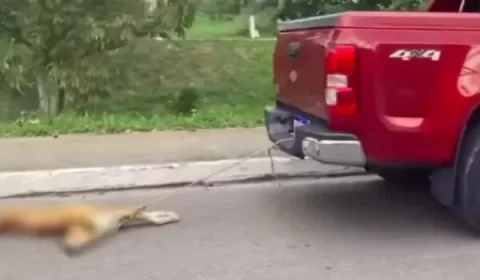 Vídeo: carro arrasta cachorro no AM e imagens causam revolta nas redes