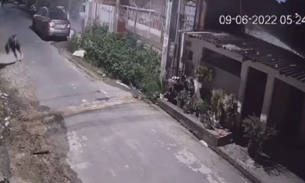 Vídeo: idoso morre após reagir a assalto na zona norte de Manaus