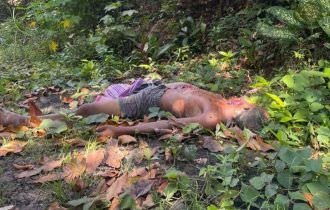 Com 16 facadas, homem é encontrado morto em ramal de Manaus