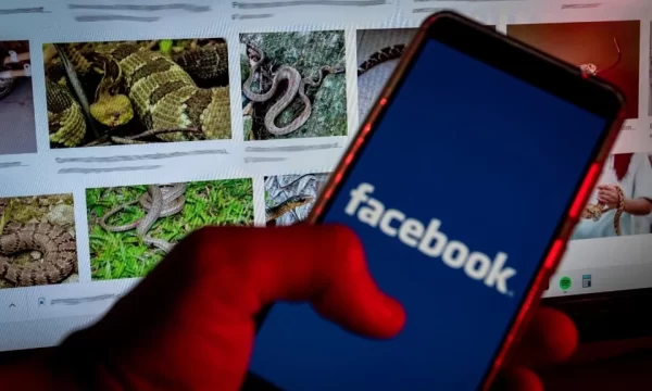 URGENTE: Instagram e Facebook ficam fora do ar nesta terça-feira