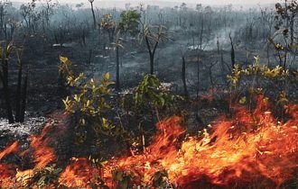 Fumaça das queimadas no sul do Amazonas atinge Manaus