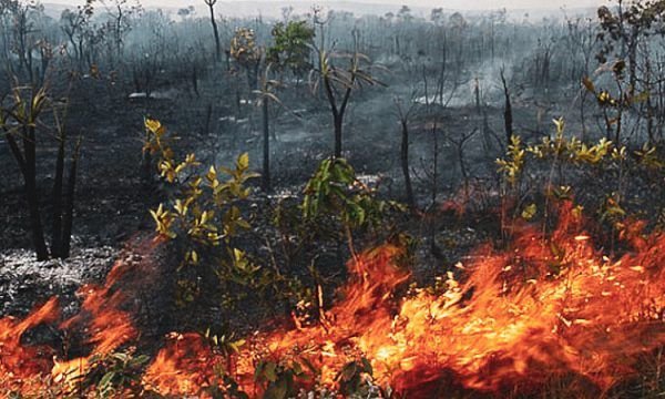 Fumaça das queimadas no sul do Amazonas atinge Manaus