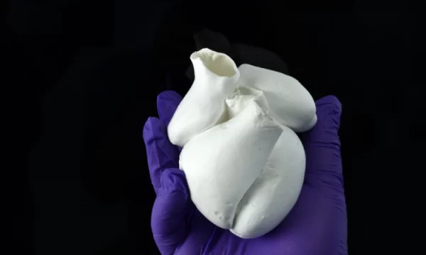 Vídeo mostra como bate o primeiro ventrículo artificial do mundo