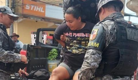 Em Tefé, Rocam apreende pé de maconha com duas mulheres