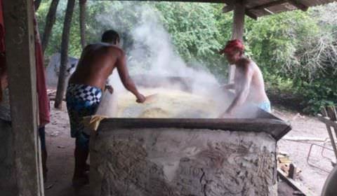 IBGE inicia censo em territórios quilombolas