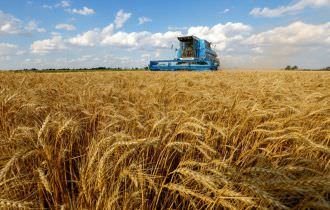 Ucrânia exportou 3 mi t de produtos agrícolas em julho, diz associação