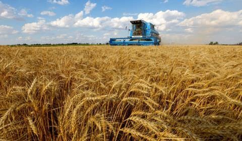 Ucrânia exportou 3 mi t de produtos agrícolas em julho, diz associação