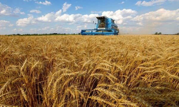 Ucrânia exportou 3 mi t de produtos agrícolas em julho, diz associação