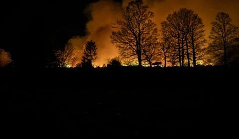 Amazonas tem maior número de queimadas nos últimos 24 anos