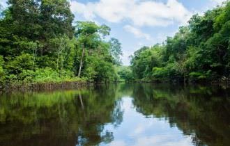 Após coação a indígenas e liminar sobre demarcação de terra, MPF pede suspensão de licença concedida a Potássio do Brasil para exploração mineral em Autazes (AM)