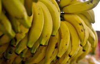 Dia da Banana: conheça benefícios e curiosidades sobre a fruta