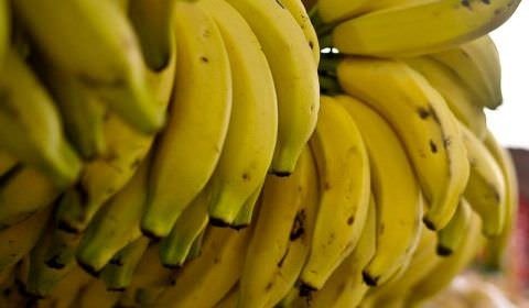 Dia da Banana: conheça benefícios e curiosidades sobre a fruta