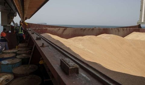Acúmulo de grãos na Ucrânia leva ONU a pedir verificações mais rápidas de navios