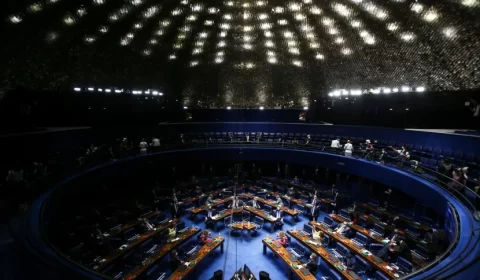 Aumenta a diversidade de raça e cai a de gênero em senadores eleitos em 2022