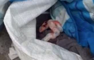 Bebê recém-nascida é encontrada em sacola de feira dentro de lata de lixo