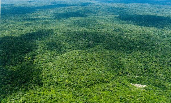 CNJ recebe propostas sobre quantificação de danos ambientais até sexta-feira (7/10)