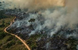 Desmatamento é causa de 81% das emissões de metano decorrentes de queimadas