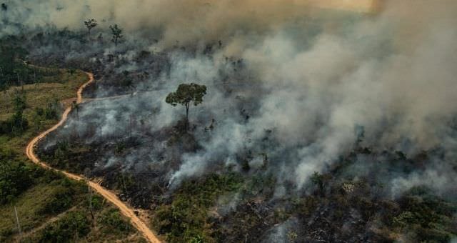 Brasil busca protagonismo na COP após reduzir desmatamento na Amazônia