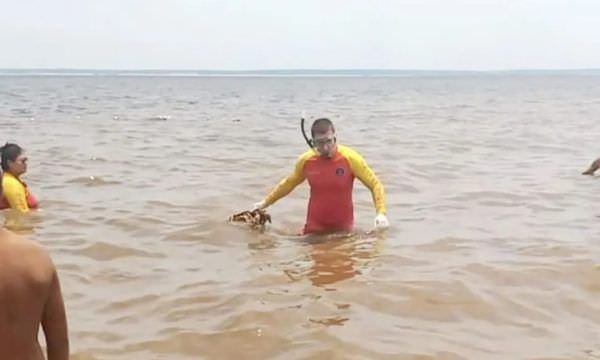 IML analisa esqueleto humano achado na praia da Ponta Negra