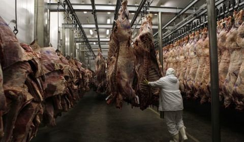 Queda da arroba bovina e salto na exportação elevam margens de frigoríficos no Brasil