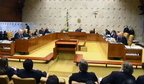 STF forma maioria para determinar reativação do Fundo Amazônia