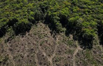 Brasil e nações com floresta tropical unem forças para salvar a selva