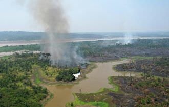 Brasil registra pior outubro em desmatamento desde 2015
