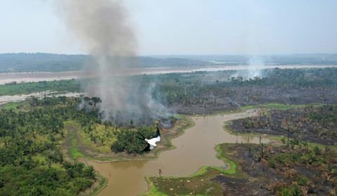 Brasil registra pior outubro em desmatamento desde 2015