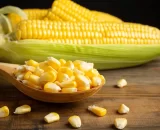 Milho sobe em março com apoio do petróleo, mas perde força em abril