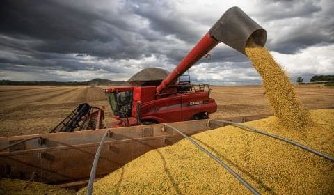 IBGE prevê safra recorde de 288,1 milhões de toneladas em 2023
