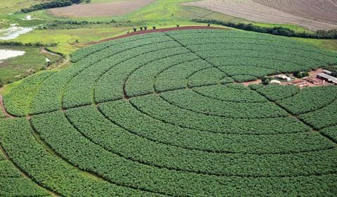 Índice de Confiança do Agronegócio tem melhor resultado trimestral